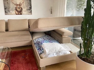 Große ausziehbare Couch  Bild 2