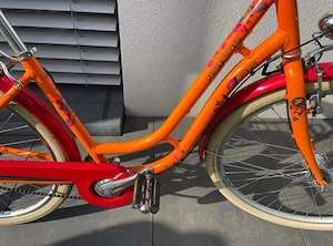 PEGASUS Damenfahrrad Bild 2