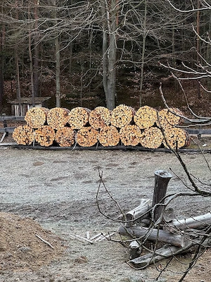 Brennholz Hart und Weich