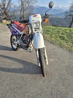 Honda XR600R Bild 2