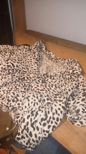 Kleidung (NEU) 36-38 Bild 3