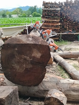 Holzfällung aller Art Bild 2