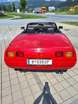 Frühjahrsangebot Bild 3