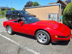 Frühjahrsangebot Bild 5