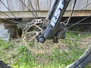 Dog Scooter Marke Gravity Bild 2