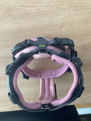 Brustgeschirr Hund XS -S  Bild 3