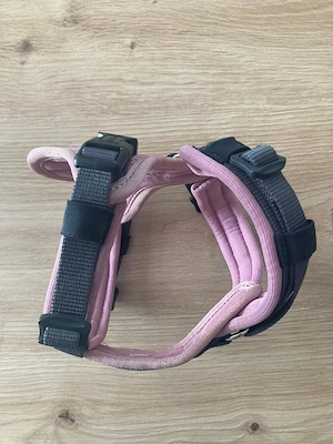 Brustgeschirr Hund XS -S  Bild 4