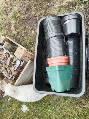 Räder, Lilien, Blumentöpfe....verschiedenen   Bild 5