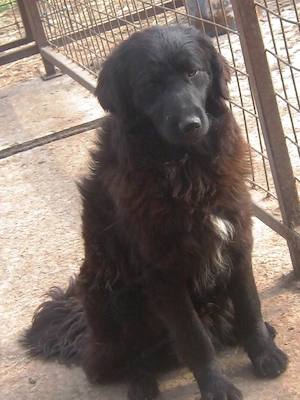 Adi möchte IHNEN Freude bereiten Bild 7