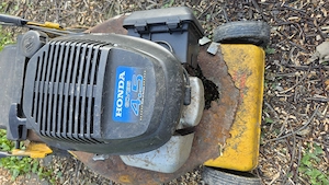 Rasenmäher zu verschenken - Motor einwandfrei Bild 2