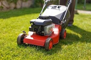 S U C H E  Rasenmäher (Benzin)