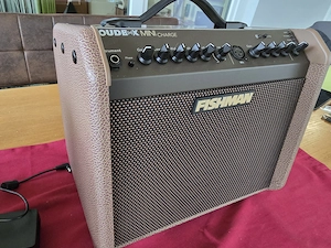 Fishman Loudbox Mini Charge - Batteriebetriebener Akustikgitarrenverstärker