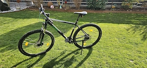 KTM Mountainbike Peak XT