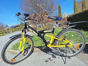 Fahrradgespann Bild 2