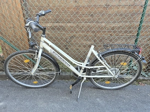 Damenrad für Bastler