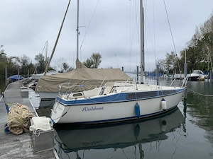 Bavaria 808  Bild 5
