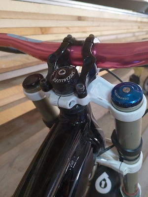 Spezialed Downhill Bike  Bild 9