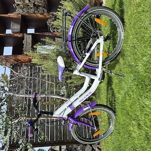 Kinderfahrrad 20 Zoll