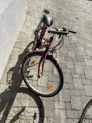 Kinderrad Pegasus Bild 3