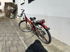 Kinderrad Pegasus Bild 2