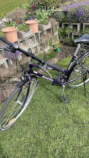 Bodenständiges Fahrrad, Feldkirch 