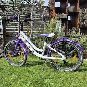 Kinderfahrrad 20 Zoll