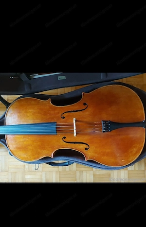 Cello Violoncello Bild 2