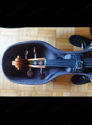 Cello Violoncello Bild 4
