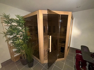 Sauna und Infrarot Kabine Bild 7
