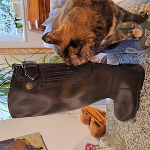 reithosen und reitstiefel Bild 2