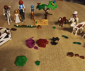 Playmobil "Country" Bild 3