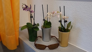 Sonnenbrille, Ray Ban Sunglasses RB 2130 Wrap Rituals Pande 938 Bild 2