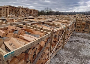 Brennholz von ausgezeichneter Qualität Bild 2