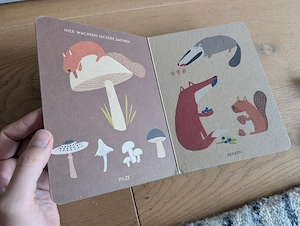 Kinderbuch mein kleiner Wald Bild 2