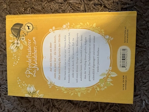 Kinderbuch Pferdeflüsterer Mädchen Bild 2