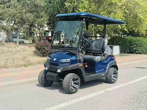 Golfcarts 40 km h mit Strassenzulassung auf Vorbestellung! Bild 3