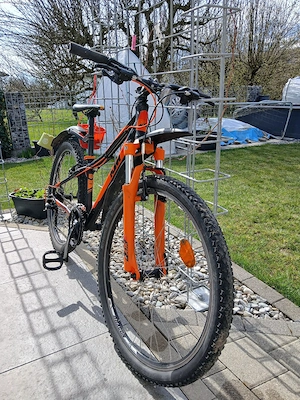  Mountainbike  Bild 3