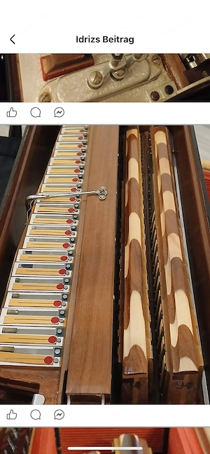 Akkordeon Hagstrom Cassotto Bild 5