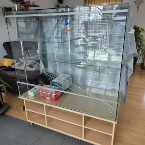 Terrarium (für Degus) Bild 2