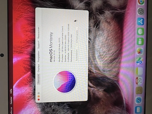 MacBook Air 13  (2017)   gepflegter Senior Bild 4