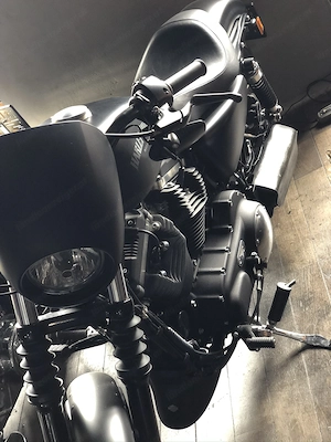 Harley Davidson Sportster Custom Umbau 1200ccm,  2014 nur 4800 km Bild 3