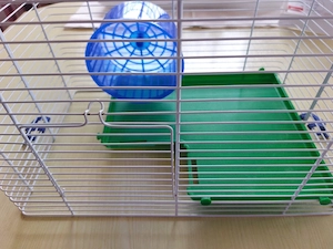 2-stöckiger Hamsterkäfig Bild 4