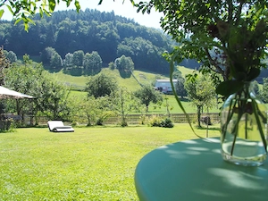 Rückzugsort im Grünen! Wohnhaus in idyllischer Waldrandlage mit zwei separaten Wohnungen. Bild 2