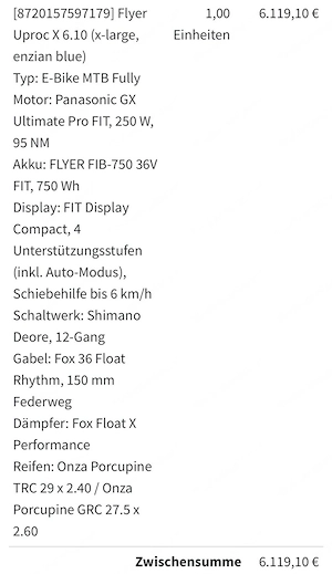 Flyer Fully Bj23 Bild 3