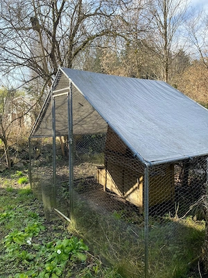 Hühnerstall 3x2x2 m zu verschenken  Bild 2