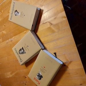 Philosophie in 16 ausgesuchten Bänden   Bild 4