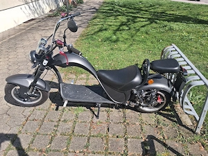 E-Chopper  Bild 4