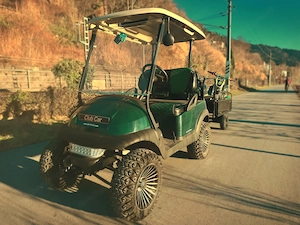 Clubcar Predecent mit Lithiumbatterie Bild 2