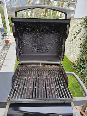 Gasgrill Weber EO-210 Bild 4