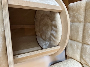 Kratzbaum (neu & ungebraucht)   120   Bild 4